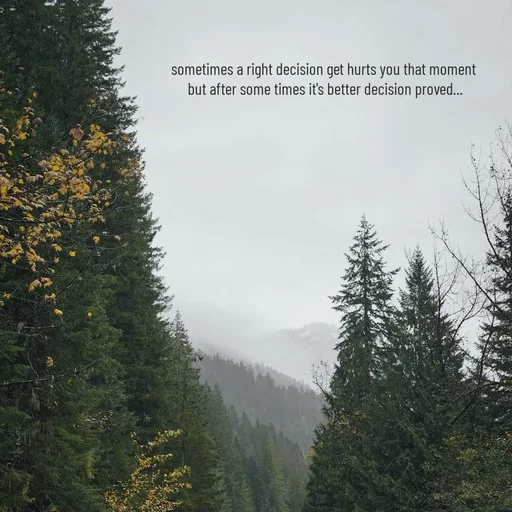 Quote by Twinkel - sometimes a right decision get hurts you that moment 
but after some times it's better decision proved... - Made using Quotes Creator App, Post Maker App