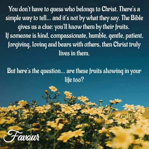Quote by Favour - You don’t have to guess who belongs to Christ. There’s a simple way to tell… and it’s not by what they say. The Bible gives us a clue: you’ll know them by their fruits. 
If someone is kind, compassionate, humble, gentle, patient, forgiving, loving and bears with others, then Christ truly lives in them.

But here’s the question… are these fruits showing in your life too? - Made using Quotes Creator App, Post Maker App