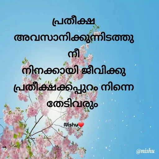Quote by Nishusaji Nish - പ്രതീക്ഷ അവസാനിക്കുന്നിടത്തു
നീ
നിനക്കായി ജീവിക്കു
പ്രതീക്ഷക്കപ്പുറം നിന്നെ തേടിവരും 

Nishu❤ - Made using Quotes Creator App, Post Maker App