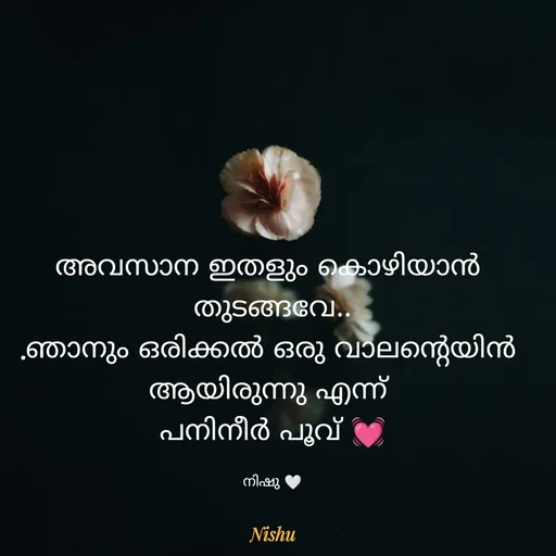 Quote by നിഷു 💓 - അവസാന ഇതളും കൊഴിയാൻ 
തുടങ്ങവേ..
.ഞാനും ഒരിക്കൽ ഒരു വാലന്റെയിൻ 
ആയിരുന്നു എന്ന് 
പനിനീർ പൂവ് 💓

നിഷു 🤍 - Made using Quotes Creator App, Post Maker App