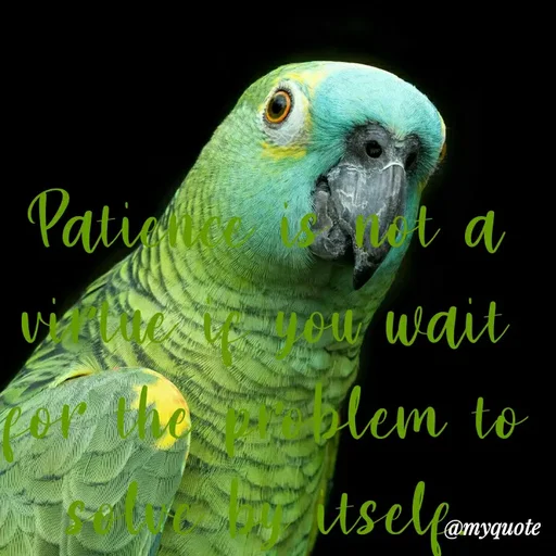 Quote by Nena khan - Patience is not a virtue if you wait for the problem to solve by itself. - Made using Quotes Creator App, Post Maker App