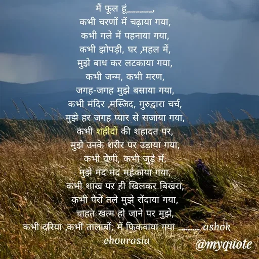 Quote by Ashok Chourasiya - मैं फूल हूं______, 
कभी चरणों में चढ़ाया गया, 
कभी गले में पहनाया गया, 
कभी झोपड़ी, घर ,महल में, 
मुझे बाध कर लटकाया गया, 
कभी जन्म, कभी मरण, 
जगह-जगह मुझे बसाया गया, 
कभी मंदिर ,मस्जिद, गुरुद्वारा चर्च, 
मुझे हर जगह प्यार से सजाया गया, 
कभी शहीदों की शहादत पर, 
मुझे उनके शरीर पर उड़ाया गया, 
कभी वेणी, कभी जुड़े में, 
मुझे मंद मंद महकाया गया, 
कभी शाख पर ही खिलकर बिखरा, 
कभी पैरों तले मुझे रोंदाया गया, 
चाहत खत्म हो जाने पर मुझे, 
कभी दरिया ,कभी तालाबों, में फिकवाया गया ............ ashok chourasia - Made using Quotes Creator App, Post Maker App