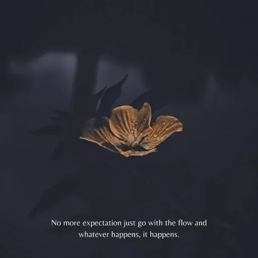Quote by Divita -  - Made using Quotes Creator App, Post Maker App
