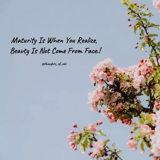 Quote by Abinaya Karthick - Maturity Is When You Realize,
 Beauty Is Not Come From Face.!

@thoughts_of_abi - Made using Quotes Creator App, Post Maker App