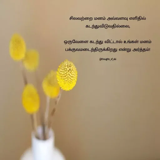 Quote by Abinaya Karthick - சிலவற்றை மனம் அவ்வளவு எளிதில் கடந்துவிடுவதில்லை,

ஒருவேளை கடந்து விட்டால் உங்கள் மனம் பக்குவமடைந்திருக்கிறது என்று அர்த்தம்!

@thoughts_of_abi - Made using Quotes Creator App, Post Maker App