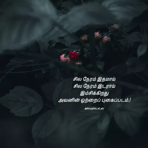 Quote by Abinaya Karthick - சில நேரம் இதமாய்
சில நேரம் இடராய்
இம்சிக்கிறது
அவனின் ஒற்றைப் புகைப்படம்.!

@thoughts_of_abi - Made using Quotes Creator App, Post Maker App