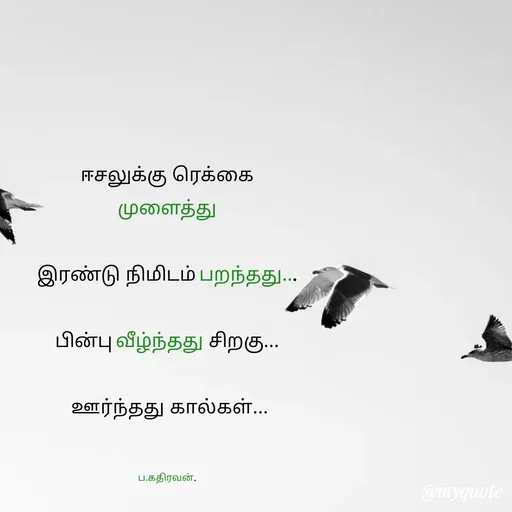 Quote by Kathiravan P -  - Made using Quotes Creator App, Post Maker App
