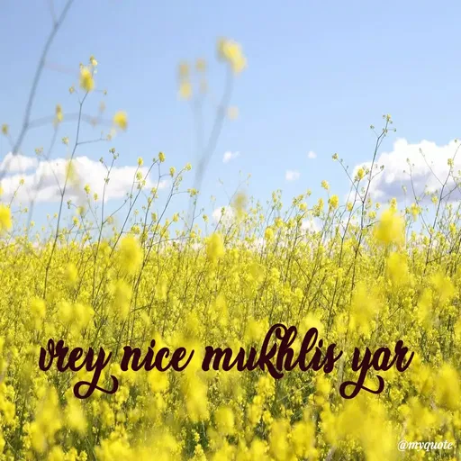 Quote by mukhlas yar -  - Made using Quotes Creator App, Post Maker App