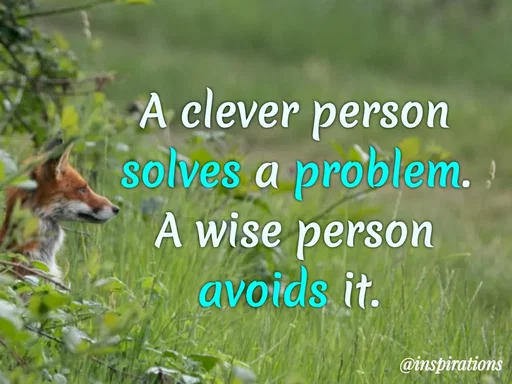 Quote by Vikram Singh - A clever person
solves a problem.
A wise person
avoids it.
@inspirations
 - Made using Quotes Creator App, Post Maker App