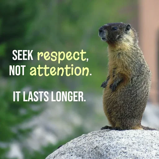 Quote by Vikram Singh - SEEK respect,
NOT attention.
IT LASTS LONGER.
 - Made using Quotes Creator App, Post Maker App