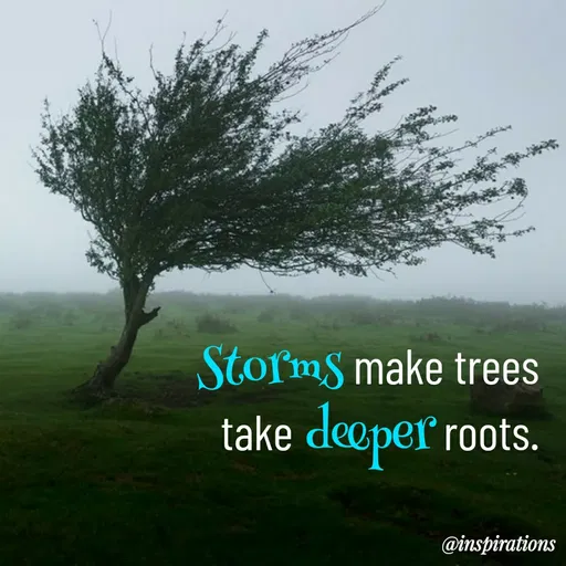 Quote by Vikram Singh - StormS make trees
take
deeper roots.
@inspirations
 - Made using Quotes Creator App, Post Maker App