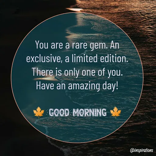Quote by Vikram Singh - You are a rare gem. An
exclusive, a limited edition.
There is only one of you.
Have an amazing day!
GOOD MORNING
@inspirations
 - Made using Quotes Creator App, Post Maker App