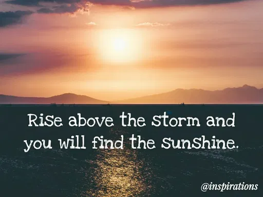 Quote by Vikram Singh - Rise above the storm and
you will find the sunshine. - Made using Quotes Creator App, Post Maker App