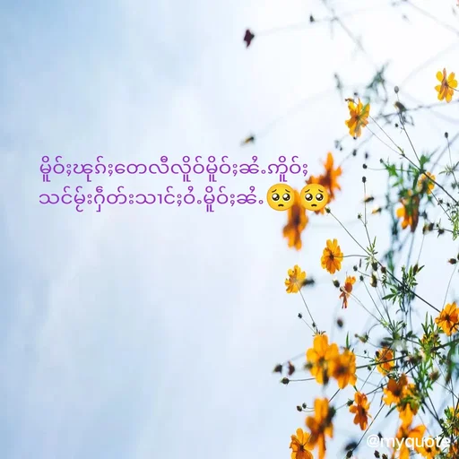 Quote by M.M - မိူဝ်ႈၽုၵ်ႈတေလီလိူဝ်မိူဝ်ႈၼႆႉဢိူဝ်ႈ
  သင်မႂ်းႁဵတ်းသၢင်ႈဝႆႉမိူဝ်ႈၼႆႉ🥺🥺 - Made using Quotes Creator App, Post Maker App