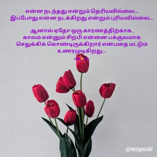 Quote by Luckiest😍person -  - Made using Quotes Creator App, Post Maker App