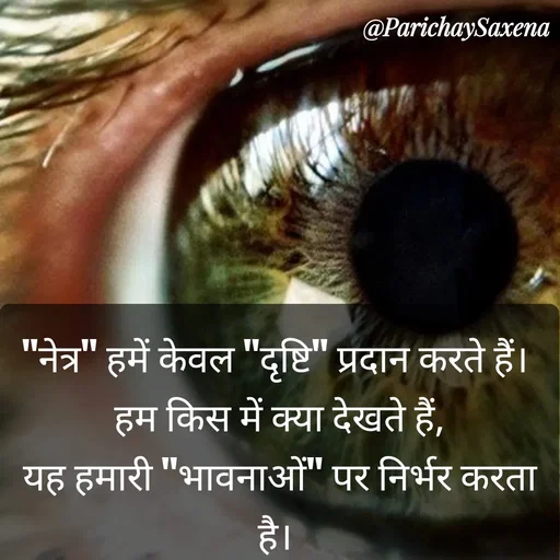 Quote by Parichay Saxena - "नेत्र" हमें केवल "दृष्टि" प्रदान करते हैं। 
हम किस में क्या देखते हैं,
यह हमारी "भावनाओं" पर निर्भर करता है।  - Made using Quotes Creator App, Post Maker App