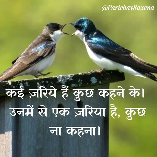 Quote by Parichay Saxena - कई ज़रिये हैं कुछ कहने के। 
उनमें से एक ज़रिया है, कुछ ना कहना।  - Made using Quotes Creator App, Post Maker App