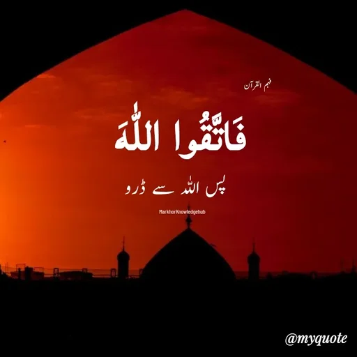 Quote by Miss Naila Hameed -  - Made using Quotes Creator App, Post Maker App