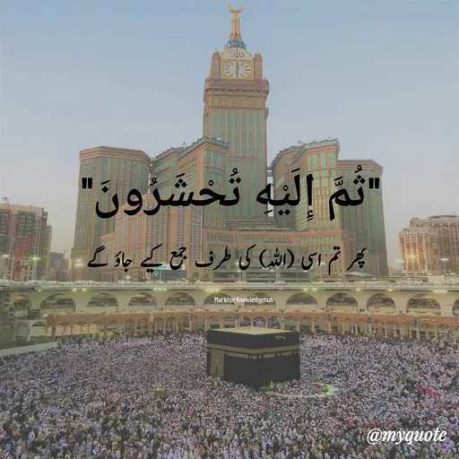 Quote by Miss Naila Hameed -  - Made using Quotes Creator App, Post Maker App