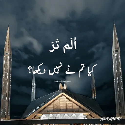 Quote by Miss Naila Hameed -  - Made using Quotes Creator App, Post Maker App