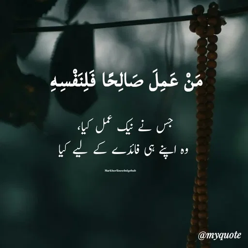 Quote by Miss Naila Hameed -  - Made using Quotes Creator App, Post Maker App