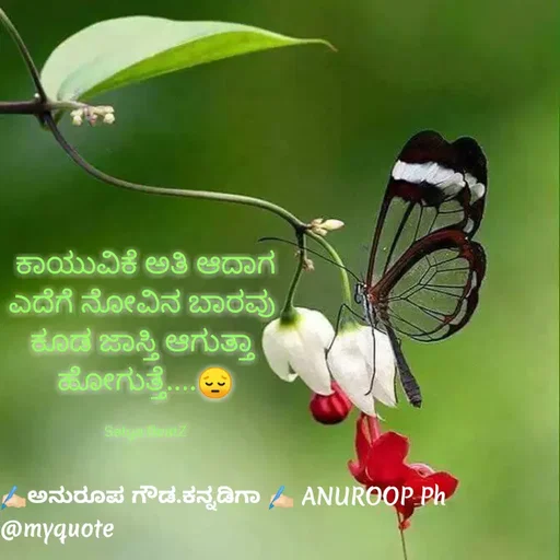 Quote by ಅನುರೂಪ ಗೌಡ.ಕನ್ನಡಿಗಾ - ಕಾಯುವಿಕೆ ಅತಿ ಆದಾಗ
ಎದೆಗೆ ನೋವಿನ ಬಾರವು 
ಕೂಡ ಜಾಸ್ತಿ ಆಗುತ್ತಾ 
ಹೋಗುತ್ತೆ....😔

Satya BeatZ - Made using Quotes Creator App, Post Maker App