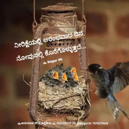 Quote by ಅನುರೂಪ ಗೌಡ.ಕನ್ನಡಿಗಾ - ನೀರಿಕ್ಷೆಯಲ್ಲಿ ಆರಂಭವಾದ ದಿನ

ನೋವುನಲ್ಲಿ ಕೊನೆಗೊಳ್ಳುತ್ತದೆ...

✍🏻 Sagar Ph - Made using Quotes Creator App, Post Maker App