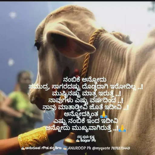 Quote by ಅನುರೂಪ ಗೌಡ.ಕನ್ನಡಿಗಾ - ನಂಬಿಕೆ ಅನ್ನೋದು 
ಸಮುದ್ರ, ಸಾಗರದಷ್ಟು ದೊಡ್ಡದಾಗಿ ಇರೋದಿಲ್ಲ ..!
 ಮುಷ್ಟಿನಷ್ಟು ಮಾತ್ರ ಇರುತ್ತೆ ..!
ನಾವುಗಳು ಎಷ್ಟು ವರ್ಷದಿಂದ ..!
ನಾವು ಮಾತಾಡ್ತೀವಿ ಜೊತೆ ಇದೀವಿ ..!
ಅನ್ನೋದಕ್ಕಿಂತ 🙏
ಎಷ್ಟು ನಂಬಿಕೆ ಇಂದ ಇದೀವಿ
ಅನ್ನೋದು ಮುಖ್ಯವಾಗಿರುತ್ತೆ ..!🙏

ನನ್ನ ಪ್ರಭು ಕೃಷ್ಣ
✍🏻 Sagar Ph - Made using Quotes Creator App, Post Maker App