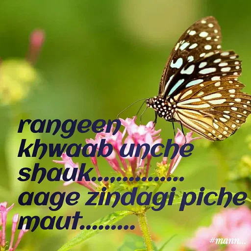 Quote by Shaheen Ali - rangeen khwaab unche shauk...,...........
aage zindagi piche maut.........   - Made using Quotes Creator App, Post Maker App