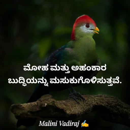 Quote by Malini Vadiraj -  - Made using Quotes Creator App, Post Maker App