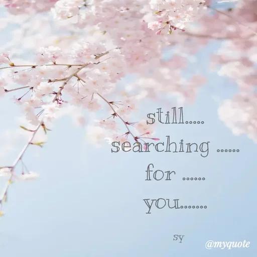 Quote by sy - still..... 
searching ...... 
for ...... 
you....... 

sy - Made using Quotes Creator App, Post Maker App