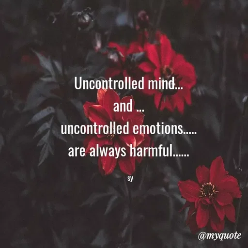 Quote by sy - Uncontrolled mind... 
and ... 
uncontrolled emotions..... 
are always harmful...... 

sy - Made using Quotes Creator App, Post Maker App