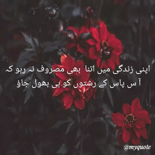 Quote by Fanhas Benazir -  - Made using Quotes Creator App, Post Maker App