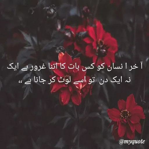 Quote by Fanhas Benazir -  - Made using Quotes Creator App, Post Maker App