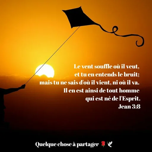 Quote by Chrys AnaGennao - Le vent souffle où il veut,
et tu en entends le bruit;
mais tu ne sais d'où il vient, ni où il va.
Il en est ainsi de tout homme
qui est né de l'Esprit.
Jean 3:8
Quelque chose à partager
 - Made using Quotes Creator App, Post Maker App