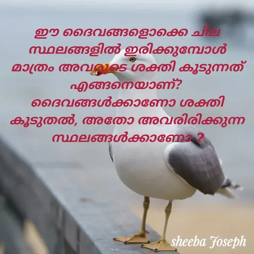 Quote by Sheeba Joseph -  - Made using Quotes Creator App, Post Maker App