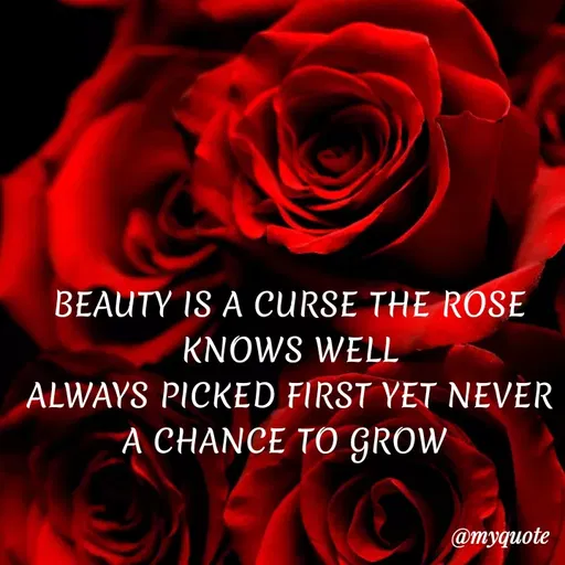 Quote by Bushra Shaikh - BEAUTY IS A CURSE THE ROSE
KNOWS WELL
ALWAYS PICKED FIRST YET NEVER
A CHANCE TO GROW
@myquote
 - Made using Quotes Creator App, Post Maker App
