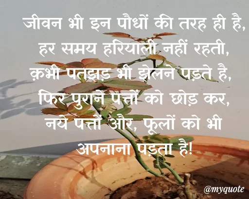 Quote by Anamika Raghuvansh - जीवन भी इन पौधों की तरह ही है,
हर समय हरियाली नहीं रहती,
क़भी पतझड़ भी झेलने पड़ते है, 
फिर पुराने पत्तों को छोड़ कर,
नये पत्तों और, फूलों को भी अपनाना पड़ता है!
 - Made using Quotes Creator App, Post Maker App