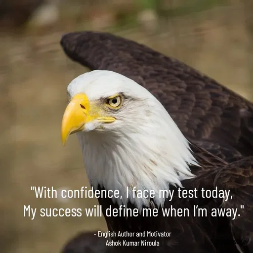Quote by Ashok Kumar Niroula Official - "With confidence, I face my test today, 
My success will define me when I’m away."

- English Author and Motivator 
Ashok Kumar Niroula  - Made using Quotes Creator App, Post Maker App
