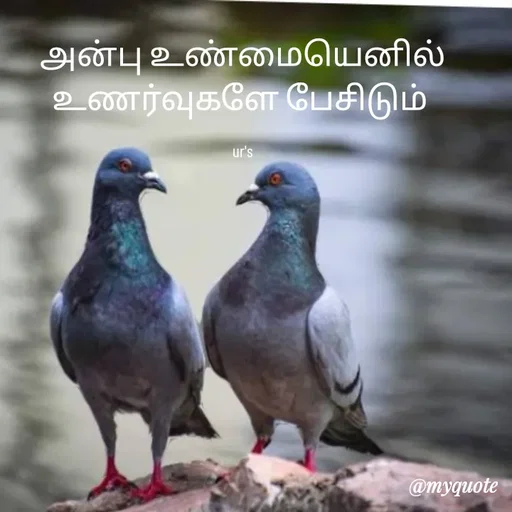 Quote by Sriuma ravi - அன்பு உண்மையெனில் உணர்வுகளே பேசிடும் 

ur's - Made using Quotes Creator App, Post Maker App