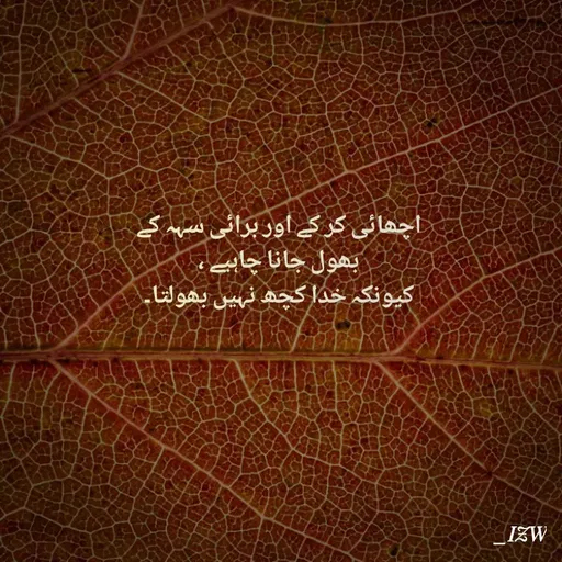 Quote by _IZW -  - Made using Quotes Creator App, Post Maker App