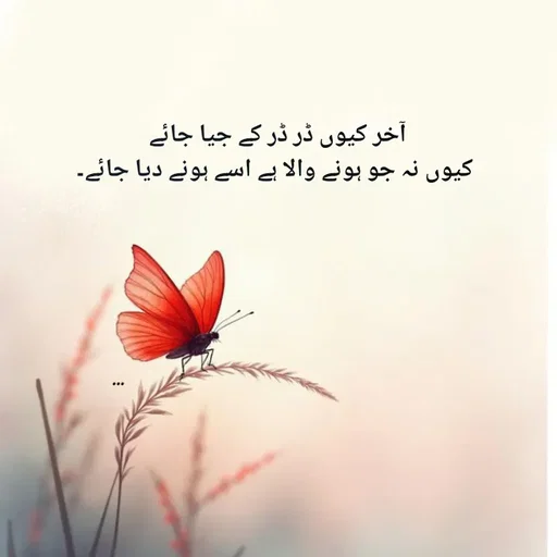 Quote by _IZW -  - Made using Quotes Creator App, Post Maker App