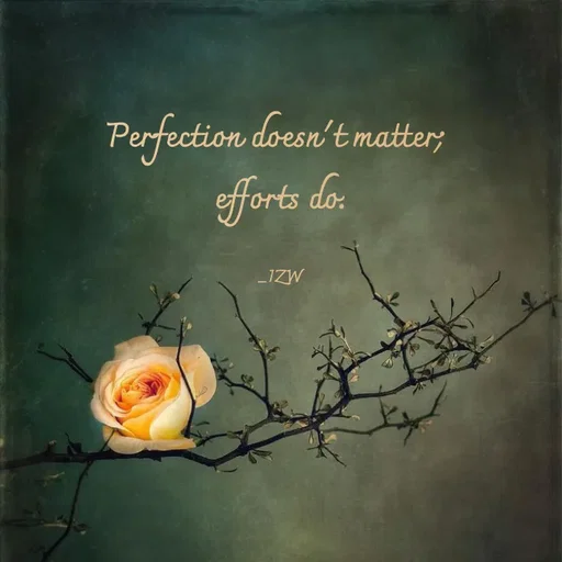 Quote by _IZW -  - Made using Quotes Creator App, Post Maker App