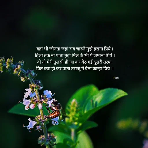 Quote by Himan Panka - वहां भी जीतता जहां सब चाहते मुझे हराना प्रिये ।
हिला तक ना पाता मुझे मिल के भी ये जमाना प्रिये ।
वो तो मेरी तुलसी ही जा कर बैठ गई दूसरी तरफ,
फिर क्या ही कर पाता तराजू में बैठा कान्हा प्रिये ॥
🪄Abhii - Made using Quotes Creator App, Post Maker App