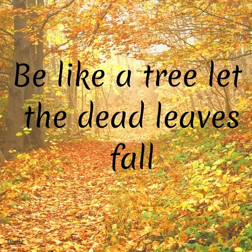 Quote by Princi agrawal - Be like a tree let
the dead leaves
fall:
Mivtkt
 - Made using Quotes Creator App, Post Maker App