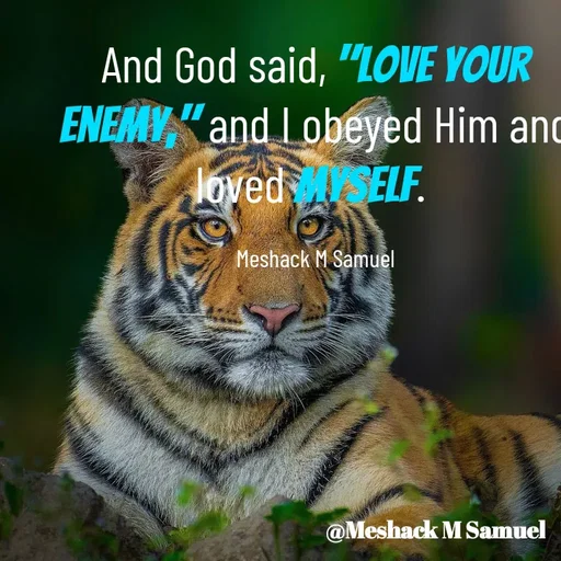 Quote by Meshack M Samuel - And God said, "love your enemy," and I obeyed Him and loved myself. 

Meshack M Samuel - Made using Quotes Creator App, Post Maker App