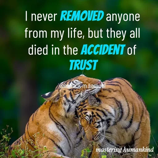 Quote by Meshack M Samuel - I never removed anyone from my life, but they all died in the accident of trust

meshack m samuel - Made using Quotes Creator App, Post Maker App