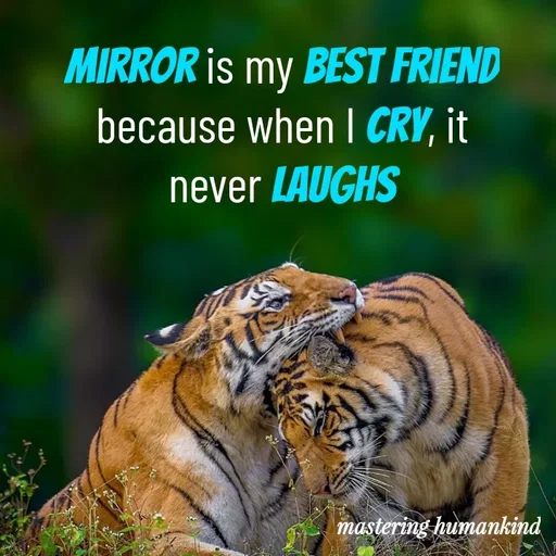 Quote by Meshack M Samuel - Mirror is my best friend because when I cry, it never laughs - Made using Quotes Creator App, Post Maker App