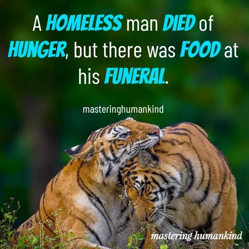 Quote by Meshack M Samuel - A homeless man died of hunger, but there was food at his funeral.

masteringhumankind - Made using Quotes Creator App, Post Maker App