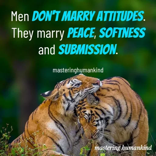 Quote by Meshack M Samuel - Men don't marry attitudes. They marry peace, softness and submission.

masteringhumankind - Made using Quotes Creator App, Post Maker App